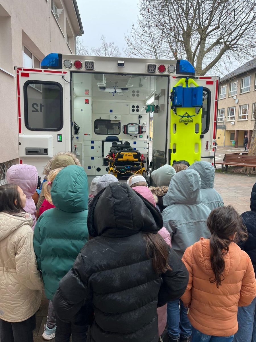 34167d31-cb18-4884-8a67-1fc1849aef19