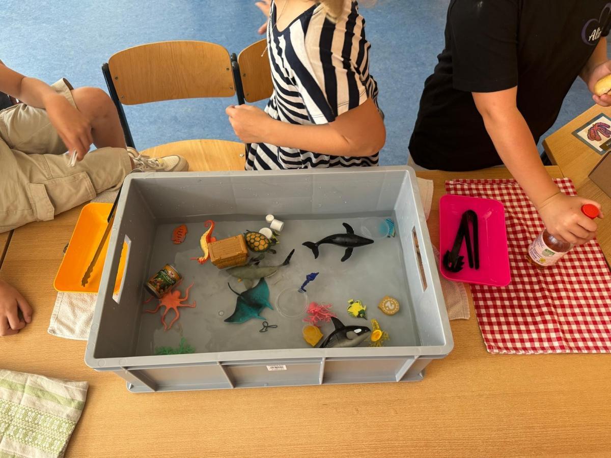 IMG-20240612-WA0019 edit 1224140270808001