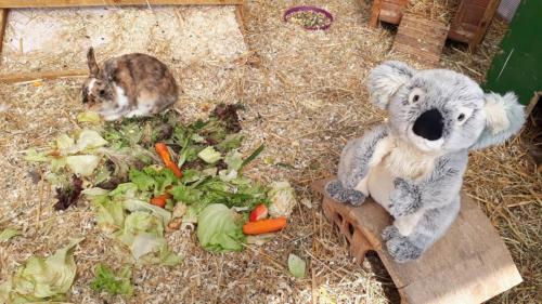 thumbnail_IMG-20200812-WA0017